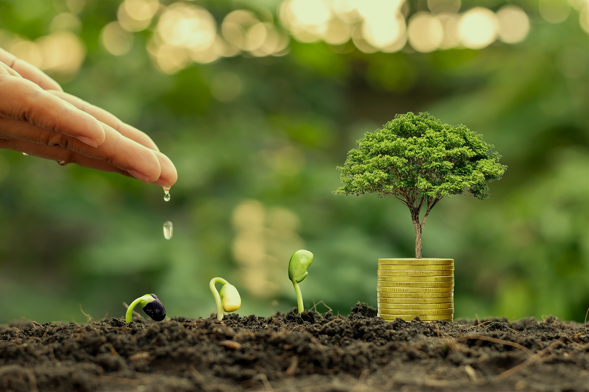 Évaluation de l'impact climatique du budget LocalClimat by LocalNova